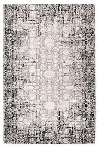 Obsession Kusový koberec My Phoenix 120 Grey Rozmer koberca: 200 x 290 cm
