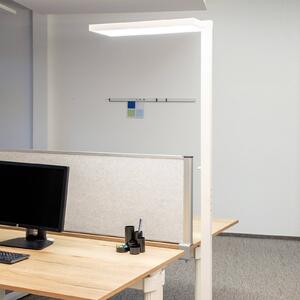 Stojaca lampa LED MAULjura, biele, hliník, 196,5 cm, 4000 K, Biela / opálová, Pracovňa / Kancelária, Hliník, Moderný