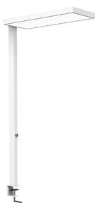 LED svietidlo MAULjura, biele, hliník, stmievateľné, 100 cm, Biela / opálová, Pracovňa / Kancelária, Hliník, Moderný