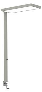 LED svietidlo MAULjura, strieborná farba, stmievateľné, 100 cm, Chrómová / strieborná, Pracovňa / Kancelária, Hliník, Moderný