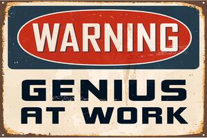 Ceduľa Warning - Genius At Work 30cm x 20cm Plechová tabuľa