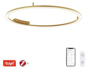 Immax NEO 07290-120G-LED+CCT stmievateľné stropné svietidlo FINO 72W/230V Tuya pr. 120 cm+DO