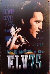 Ceduľa Elvis 75 30cm x 20cm Plechová tabuľa