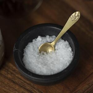 Kovová mini lyžička Salt Spoon Gold
