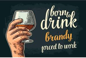 Ceduľa Born To Drink Brandy - Porced To Work 30cm x 20cm Plechová tabuľa