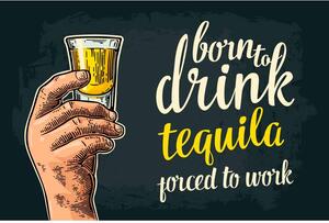 Ceduľa Born To Drink Tequila - Porced To Work 30cm x 20cm Plechová tabuľa