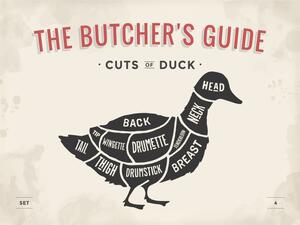 Ceduľa The Butchers Guide - Cuts of Duck 30cm x 20cm Plechová tabuľa