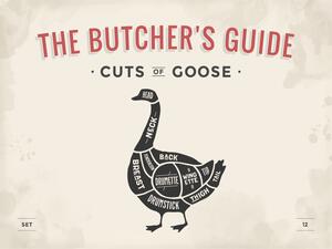 Ceduľa The Butchers Guide - Cuts of Goose 40 x 30 cm Plechová tabuľa