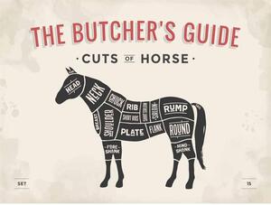 Ceduľa The Butchers Guide - Cuts of Horse 30cm x 20cm Plechová tabuľa