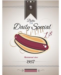 Ceduľa Hot Dog Daily Special 30cm x 20cm Plechová tabuľa