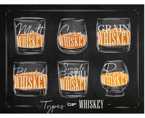 Ceduľa Types of Whiskey 40 x 30 cm Plechová tabuľa
