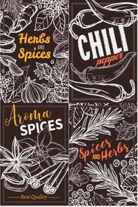 Ceduľa Herbs & Spices Chili 30cm x 20cm Plechová tabuľa