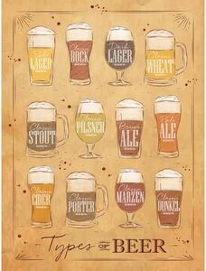 Ceduľa Types of Beer 40 x 30 cm Plechová tabuľa