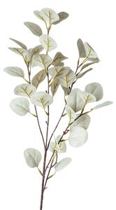 DEKORAČNÁ VETVIČKA eukalyptus 73 cm XXXL - Kvety & kvetináče