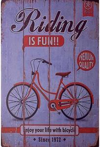 Ceduľa Riding is Fun Vintage style 30cm x 20cm Plechová tabuľa