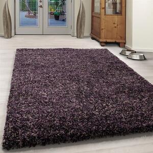 Ayyildiz Kusový koberec ENJOY 4500, Lila Rozmer koberca: 80 x 150 cm