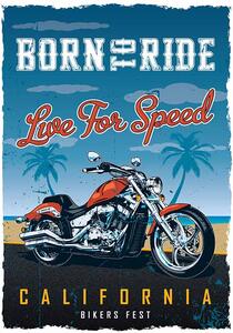 Ceduľa Born to Ride - Live For Speed Vintage style 30cm x 20cm Plechová tabuľa