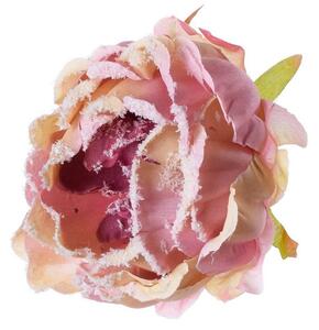 Hlava pivonka zasnežená ružová s klipom 10cm