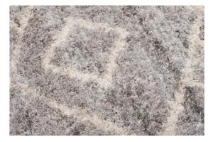 Kusový koberec shaggy Abia sivý 160x229cm