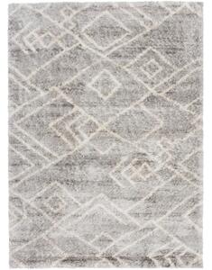Kusový koberec shaggy Abia sivý 160x229cm
