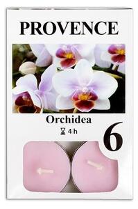 Provence Čajová sviečka PROVENCE 6ks orchidea