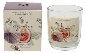 VONNÁ SVIEČKA figa, bergamot XXXL - Sviečky & svietniky