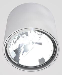 Stropné svietidlo RENDL EX Bodové svietidlo sivá R10162