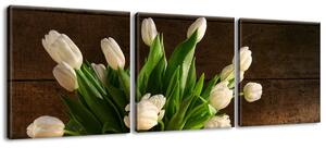 Obraz na plátne Biele tulipány - 3 dielny Veľkosť: 90 x 80 cm