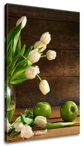 Obraz na plátne Biele tulipány Rozmery: 40 x 60 cm