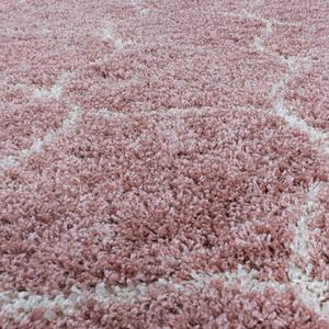 Ayyildiz Kusový koberec SALSA 3201, Ružová Rozmer koberca: 80 x 150 cm