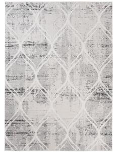 Kusový koberec Franc sivý 120x170cm