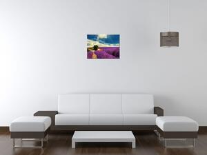 Gario Obraz na plátne Čarovná levanduľová krajina Veľkosť: 120 x 80 cm