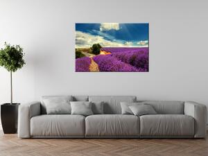 Obraz na plátne Čarovná levanduľová krajina Rozmery: 120 x 80 cm