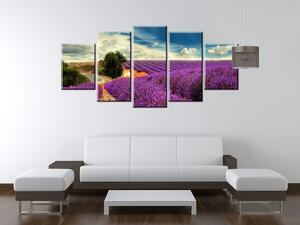 Gario Obraz na plátne Čarovná levanduľová krajina Veľkosť: 160 x 80 cm