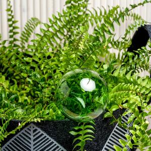 Muurla Zavlažovacia nádoba pre izbové rastliny, zelená