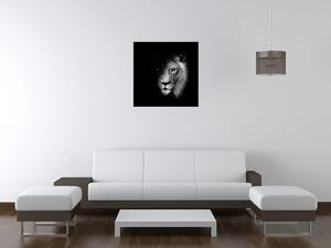 Gario Obraz na plátne Lev v tieni Veľkosť: 100 x 70 cm