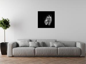 Gario Obraz na plátne Lev v tieni Veľkosť: 100 x 70 cm