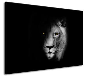 Obraz na plátne Lev v tieni Veľkosť: 100 x 70 cm