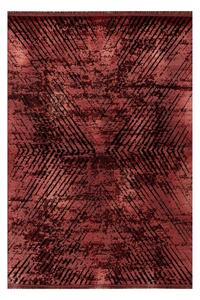 Ayyildiz Kusový koberec ELITE 8801, Červená Rozmer koberca: 200 x 290 cm