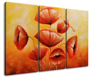 Gario 3 dielny obraz na plátne Červené maky Veľkosť: 90 x 60 cm