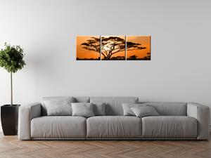 Gario Obraz na plátne Nádherná africká krajina Veľkosť: 90 x 30 cm