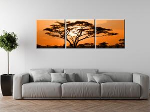Gario Obraz na plátne Nádherná africká krajina Veľkosť: 90 x 60 cm