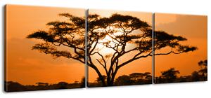 Gario Obraz na plátne Nádherná africká krajina Veľkosť: 90 x 30 cm