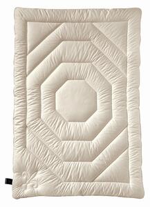 LETNÁ PRIKRÝVKA, 135/200 cm, Billerbeck - Prikrývky & vankúše, Online Only