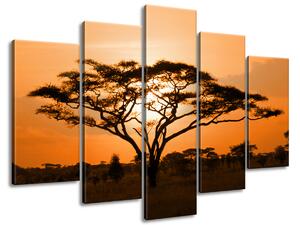 Gario Obraz na plátne Nádherná africká krajina Veľkosť: 150 x 80 cm