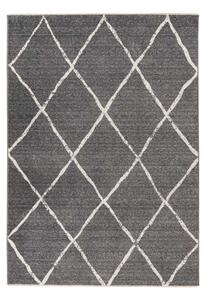 Lalee Kusový koberec Agadir 501 Silver Rozmer koberca: 160 x 230 cm