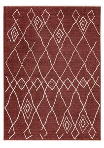 Lalee Kusový koberec Agadir 502 Terra Rozmer koberca: 160 x 230 cm