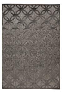 Lalee Kusový koberec Amira 203 Grey Rozmer koberca: 200 x 290 cm