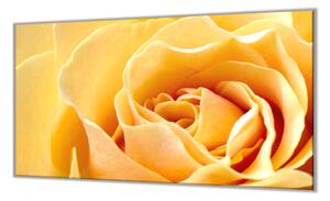 Ochranná doska kvet žltej ruže - 55x90cm / NE