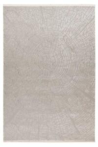 Lalee Kusový koberec Elif 403 Silver Rozmer koberca: 120 x 170 cm